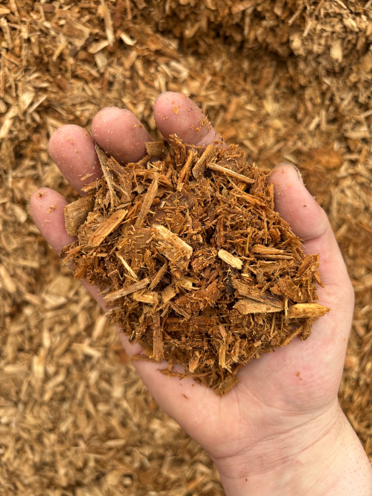 Playground Chips