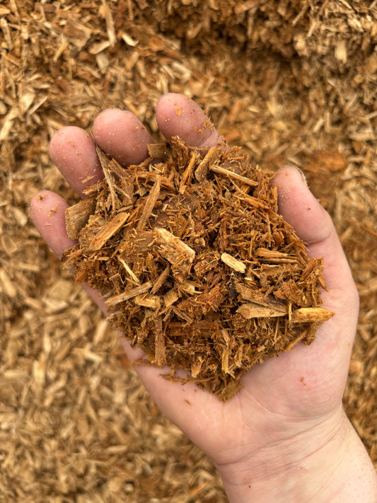 Playground Chips