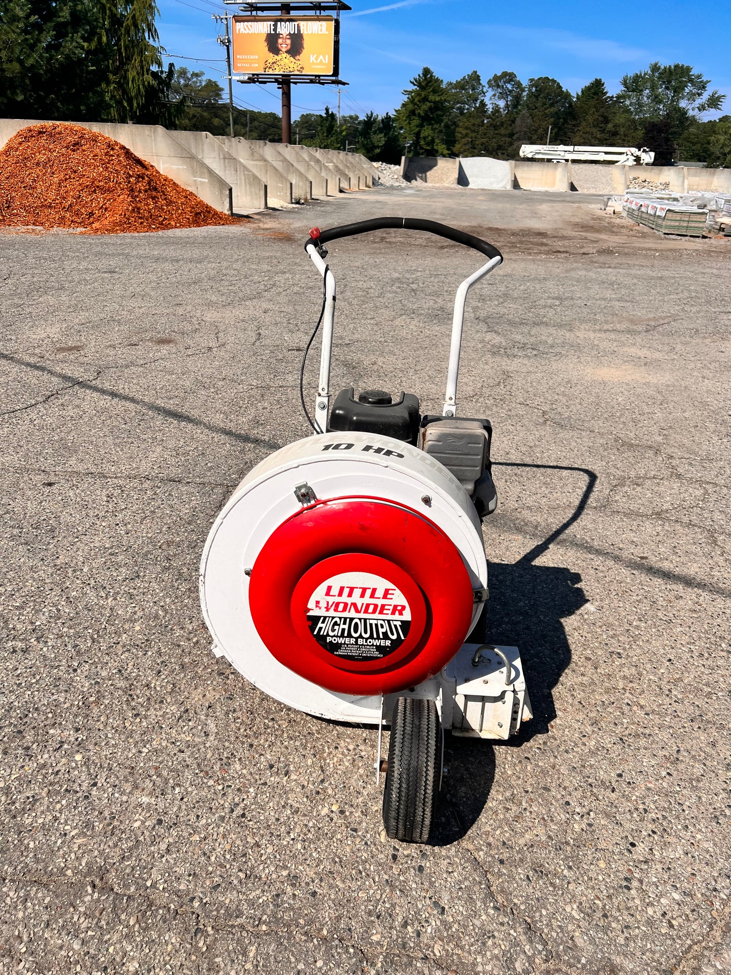 Walk Behind Leaf Blower