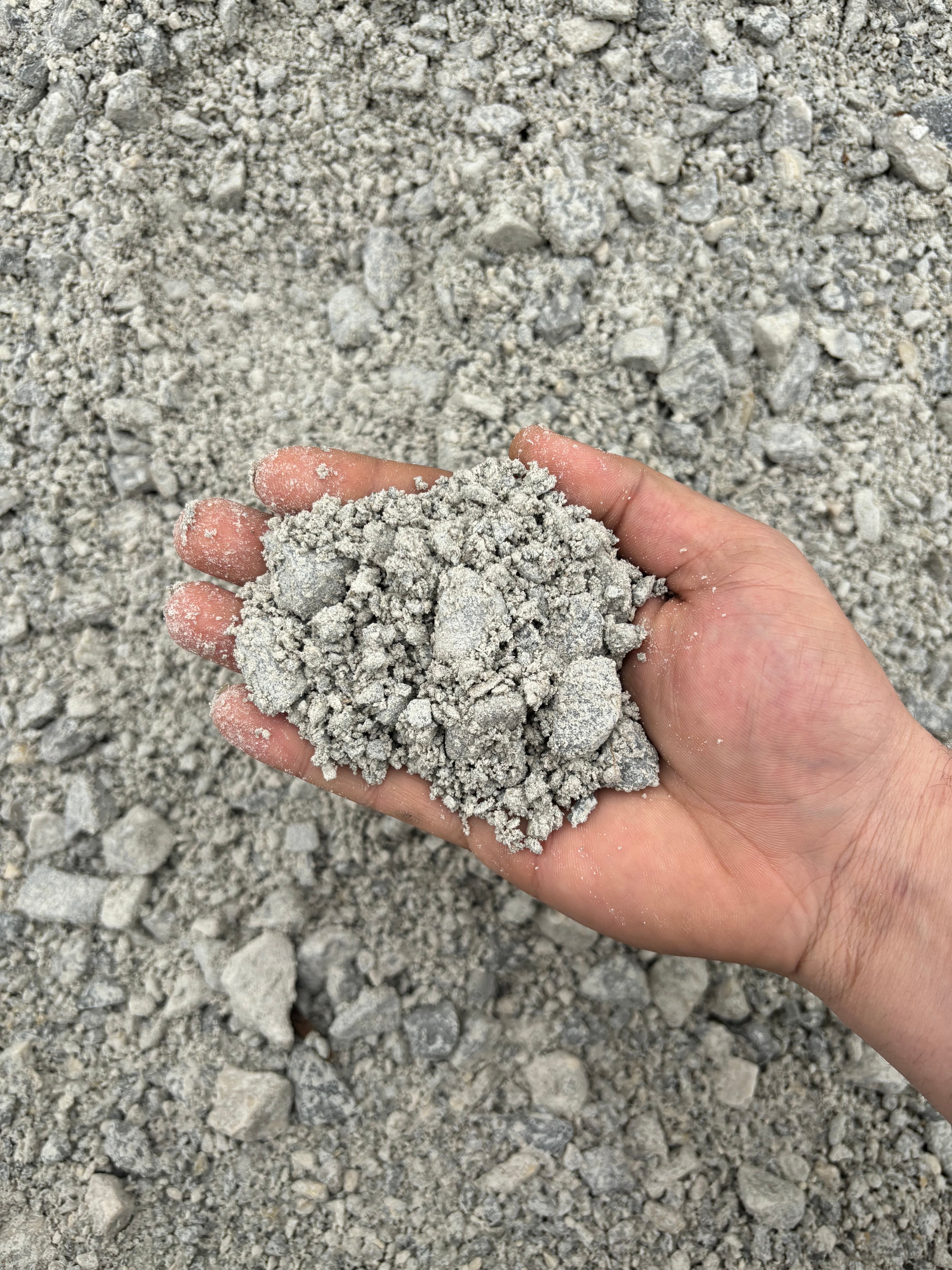 22a Dolomite – rockplantit