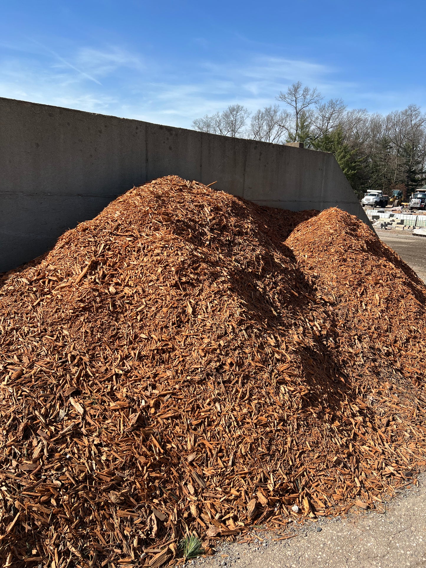 Gold Mulch