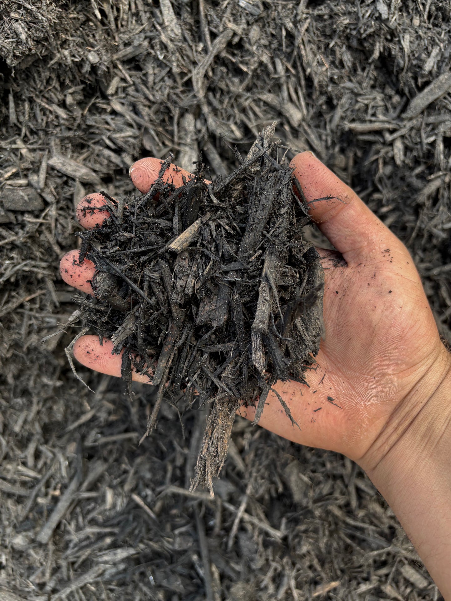 Black Mulch
