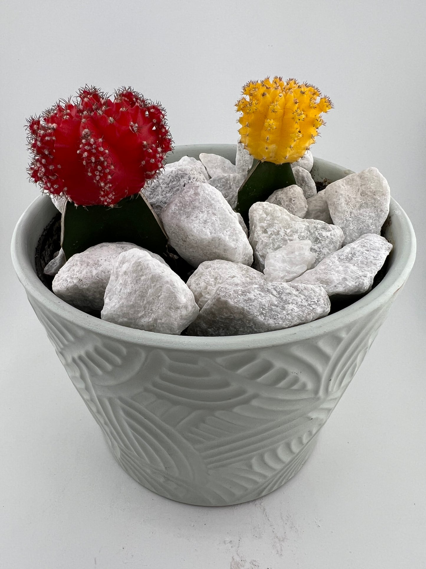 White Marble, Decorative Stone, Aquarium Rocks, White Stone, Terrarium Rocks, Planter Rocks, Gardening Rocks