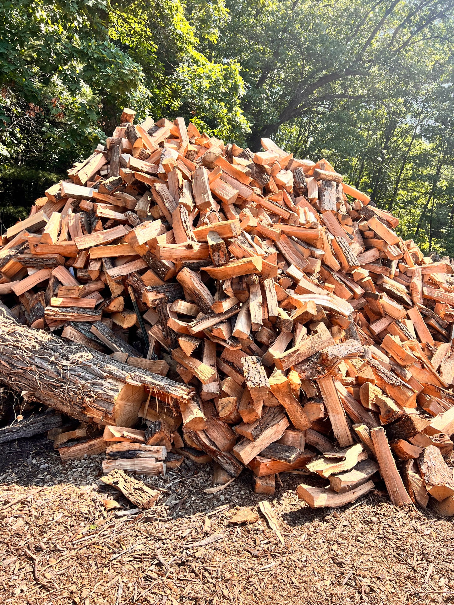 Firewood