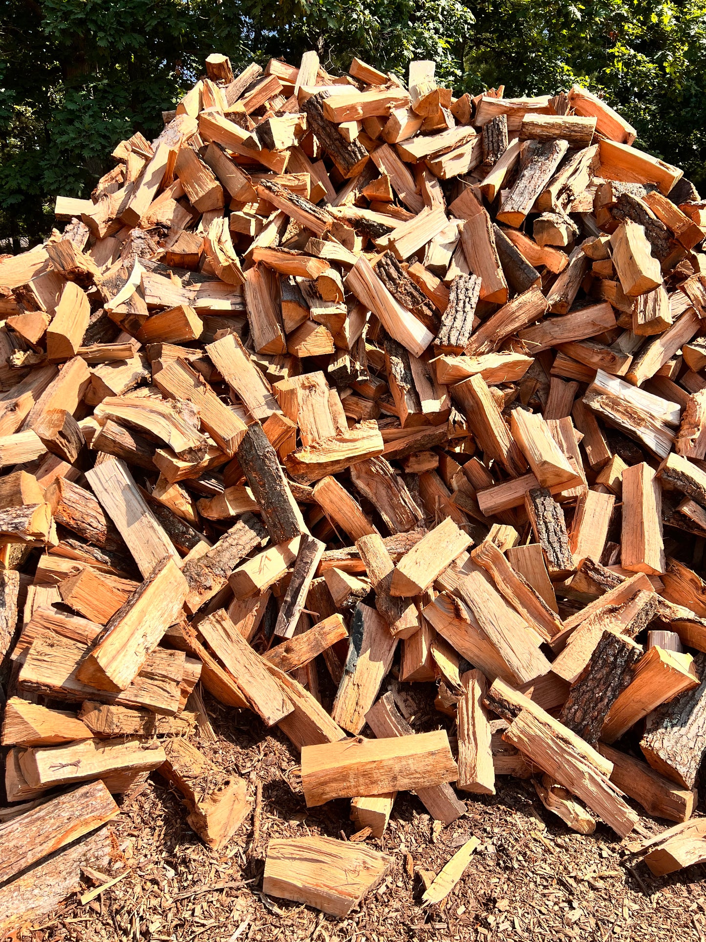 Firewood